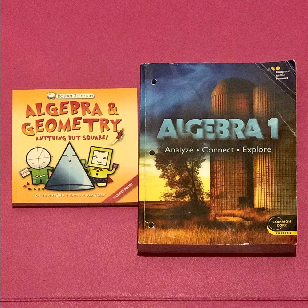 ❤️Algebra 1 Common Core Geometry Books Math
